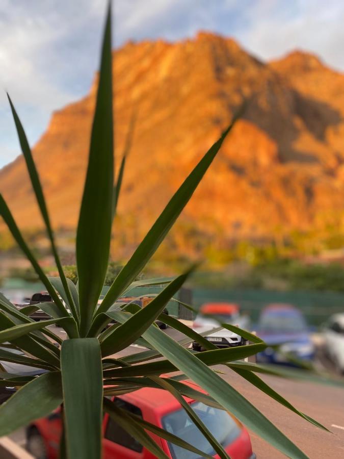 Apartamento Ro-Ro Valle Gran Rey Eksteriør bilde